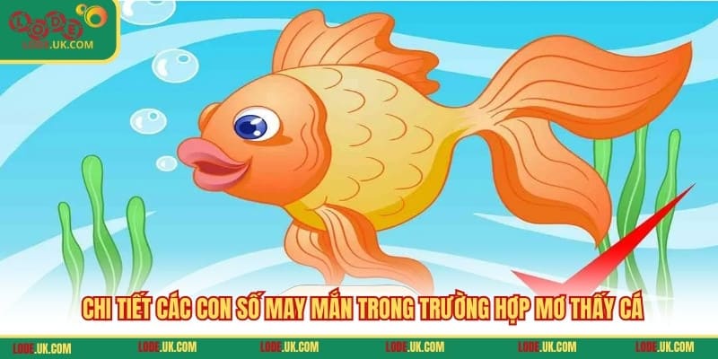 Chi tiết các con số may mắn trong trường hợp mơ thấy cá