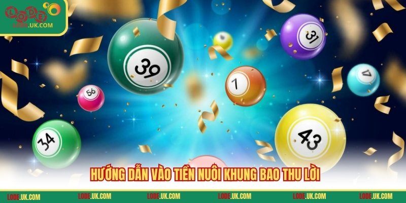 Hướng dẫn vào tiền nuôi khung bao thu lời