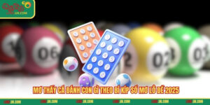 Mơ Thấy Cá Đánh Con Gì Theo Bí Kíp Sổ Mơ Lô Đề 2025