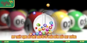 Mơ Thấy Đụng Xe Chết Người Có Phải Điềm Xấu Hay Không