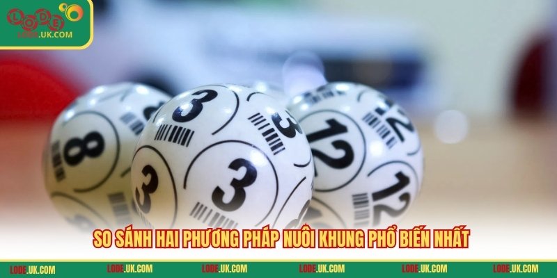 So sánh hai phương pháp nuôi khung phổ biến nhất