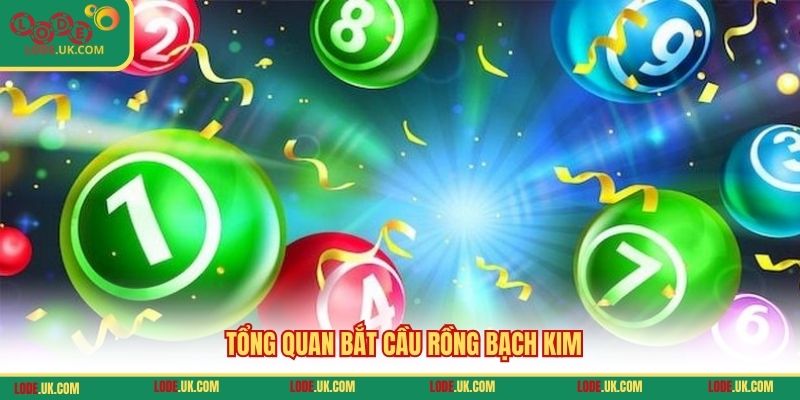 Tổng quan bắt cầu Rồng Bạch Kim