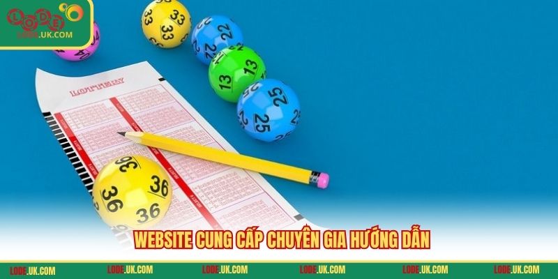 Website cung cấp chuyên gia hướng dẫn
